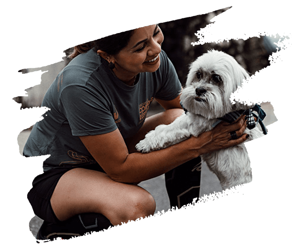 pet sitting teammate 2 dog walker with dog in Cardiff